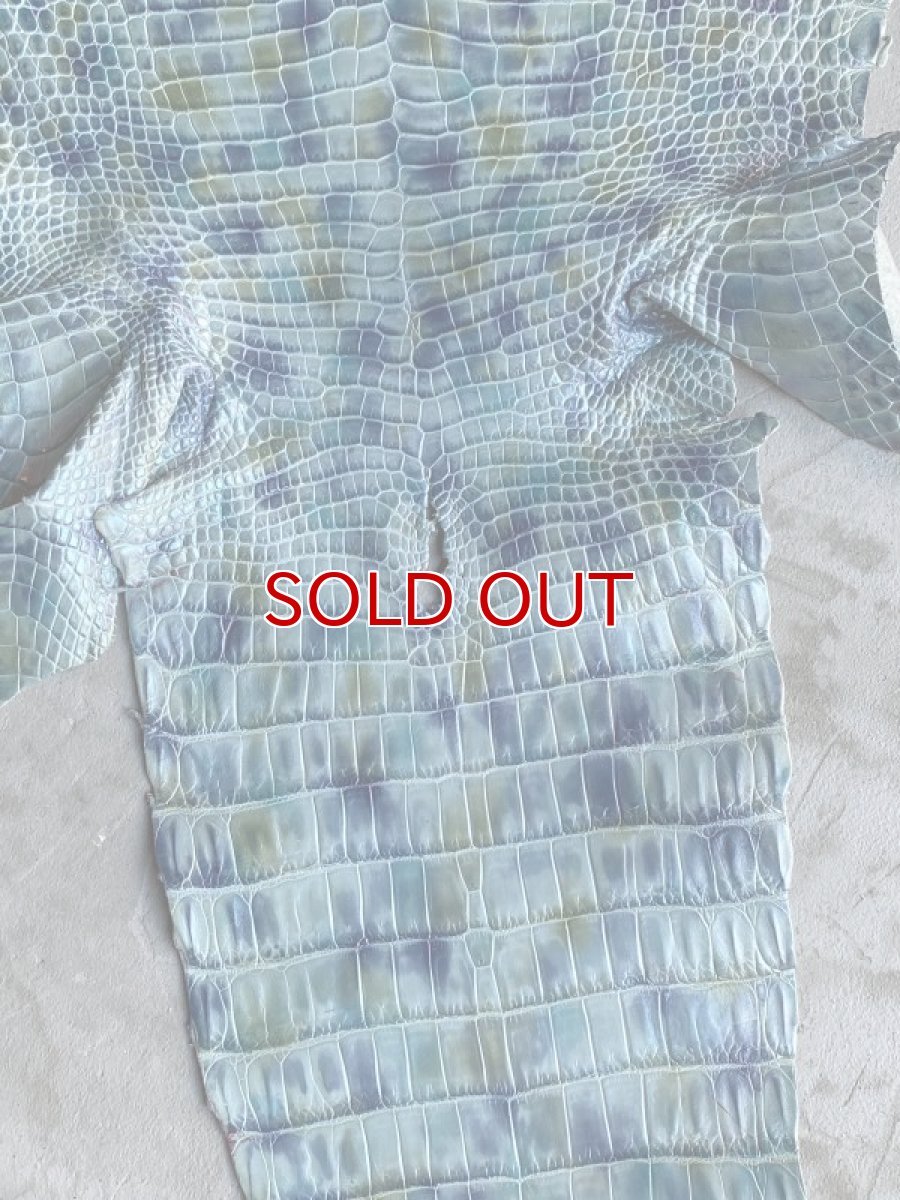 画像6: スモールクロコ　シェルパールレインボー　ブルー　33 (6)