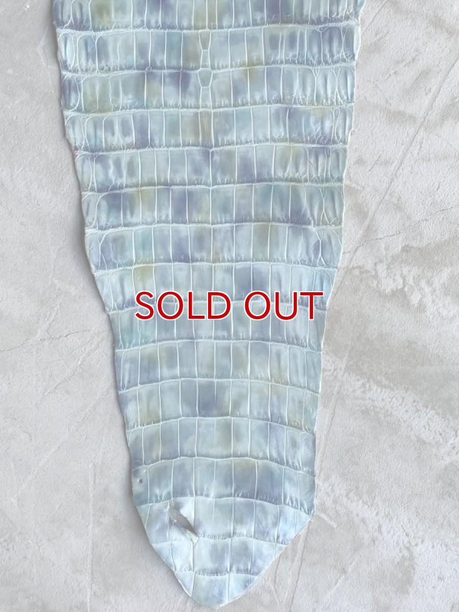 画像7: スモールクロコ　シェルパールレインボー　ブルー　33 (7)