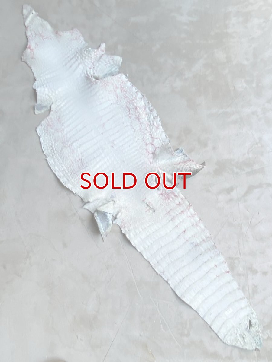 画像8: スモールクロコ　シェルパールレインボー　ブルー　33 (8)