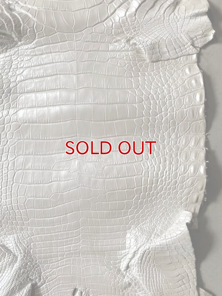 画像5: ラージクロコ　パールホワイト　43 (5)