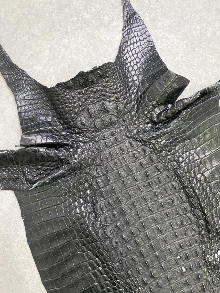 画像2: クロコダイル　腹割（背ワニ）ジョンストニー　ブラック　50 (2)