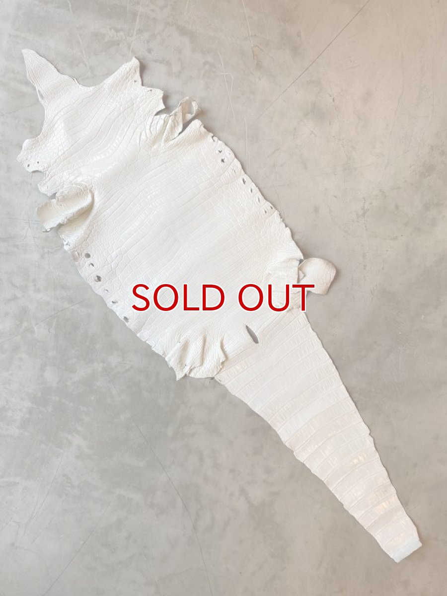 画像1: クロコダイル　エナメルホワイト　43 (1)