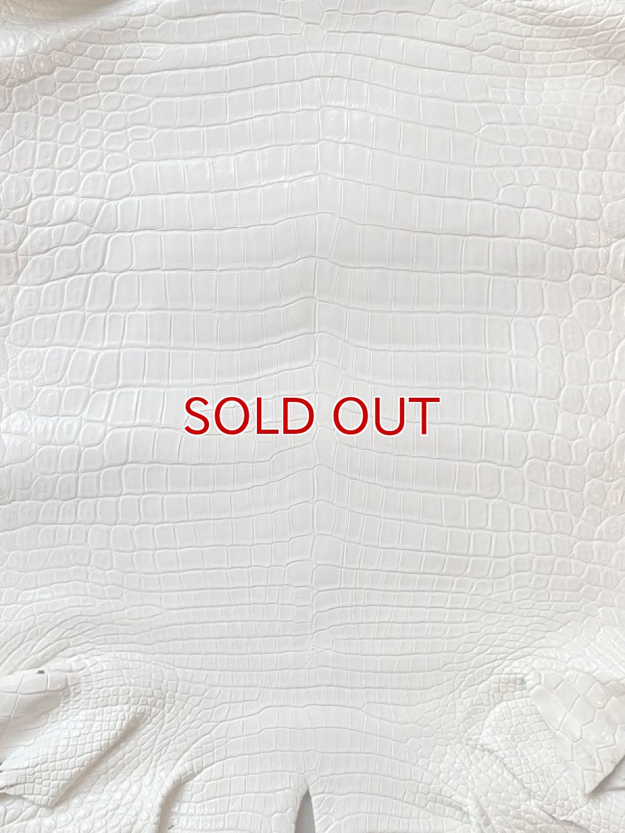 画像2: クロコダイル　エナメルホワイト　43 (2)