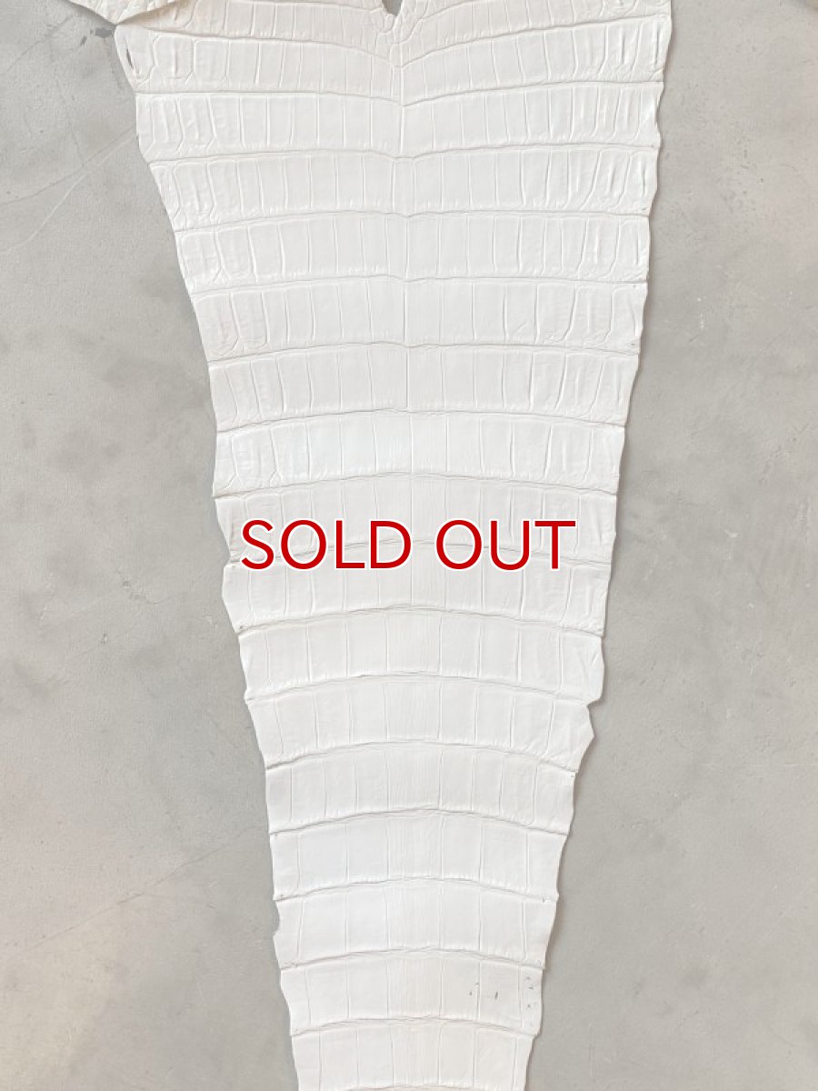 画像3: クロコダイル　エナメルホワイト　43 (3)