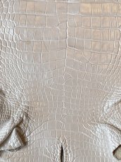 画像2: クロコダイル　尻尾　パールホワイト (2)