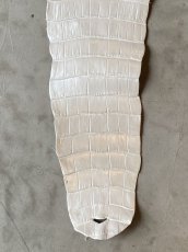 画像4: クロコダイル　尻尾　パールホワイト (4)