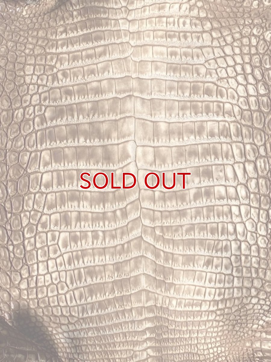 画像2: クロコダイル　ヌバック　ブラウン　24 (2)