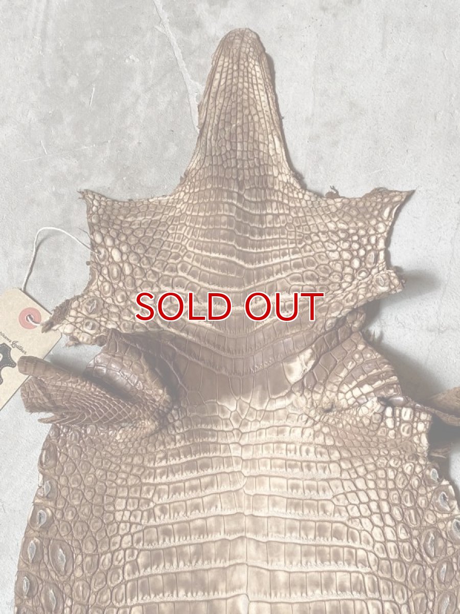 画像3: クロコダイル　ヌバック　ブラウン　24 (3)