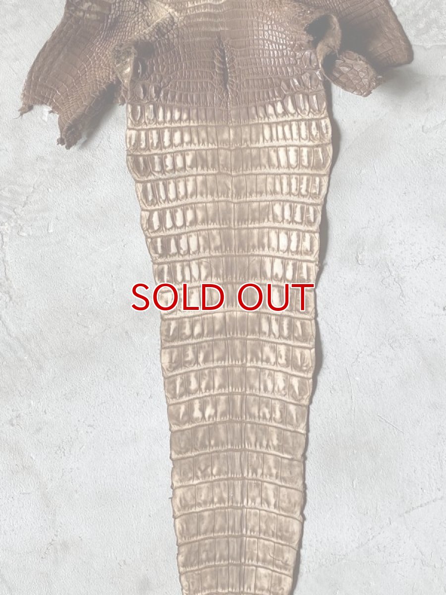 画像4: クロコダイル　ヌバック　ブラウン　24 (4)