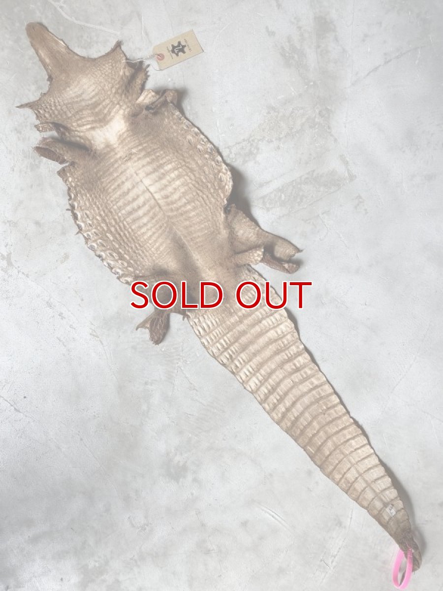 画像6: クロコダイル　ヌバック　ブラウン　24 (6)