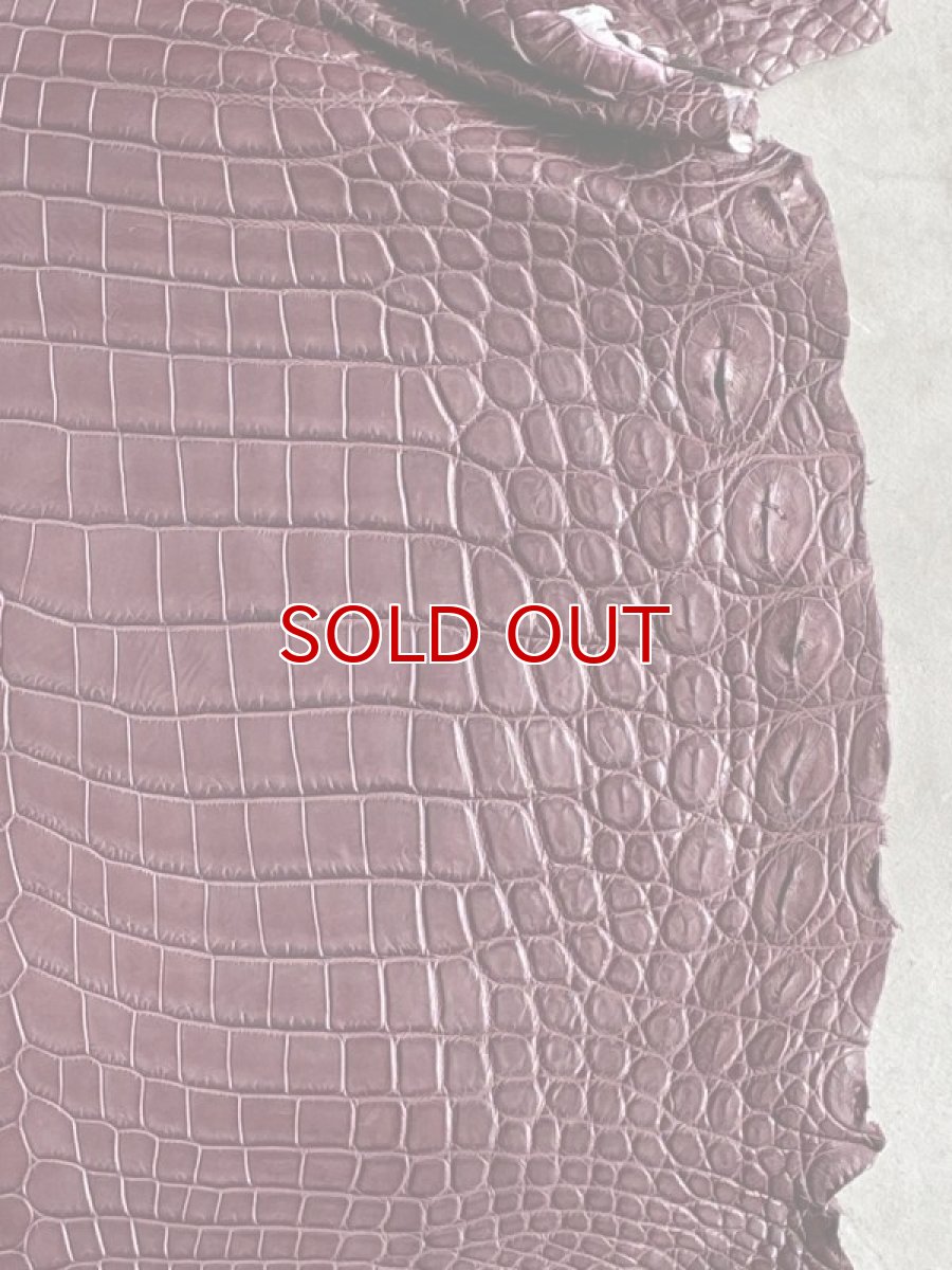 画像3: クロコダイル　 アゴ〜腹　ボルドー (3)