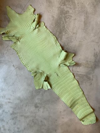 クロコダイル(ワニ革) - 大阪で革の販売ならニシカワレザーオンライン 