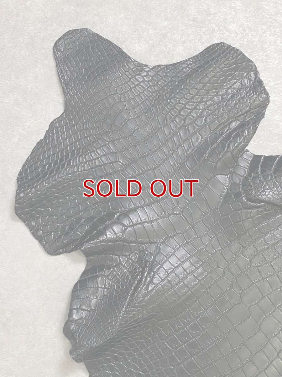 画像4: スモールクロコダイル　ブラック　36　ポロサス　ワニ革　クロコダイル革　 (4)