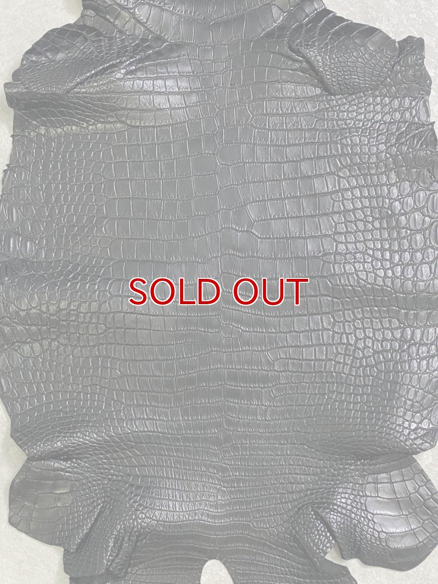 画像3: スモールクロコダイル　ブラック　36　ポロサス　ワニ革　クロコダイル革　 (3)