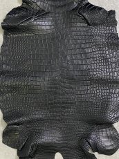 画像3: スモールクロコダイル ブラック 36 ポロサス ワニ革 クロコダイル革  (3)