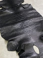 画像2: スモールクロコダイル ブラック 36 ポロサス ワニ革 クロコダイル革  (2)