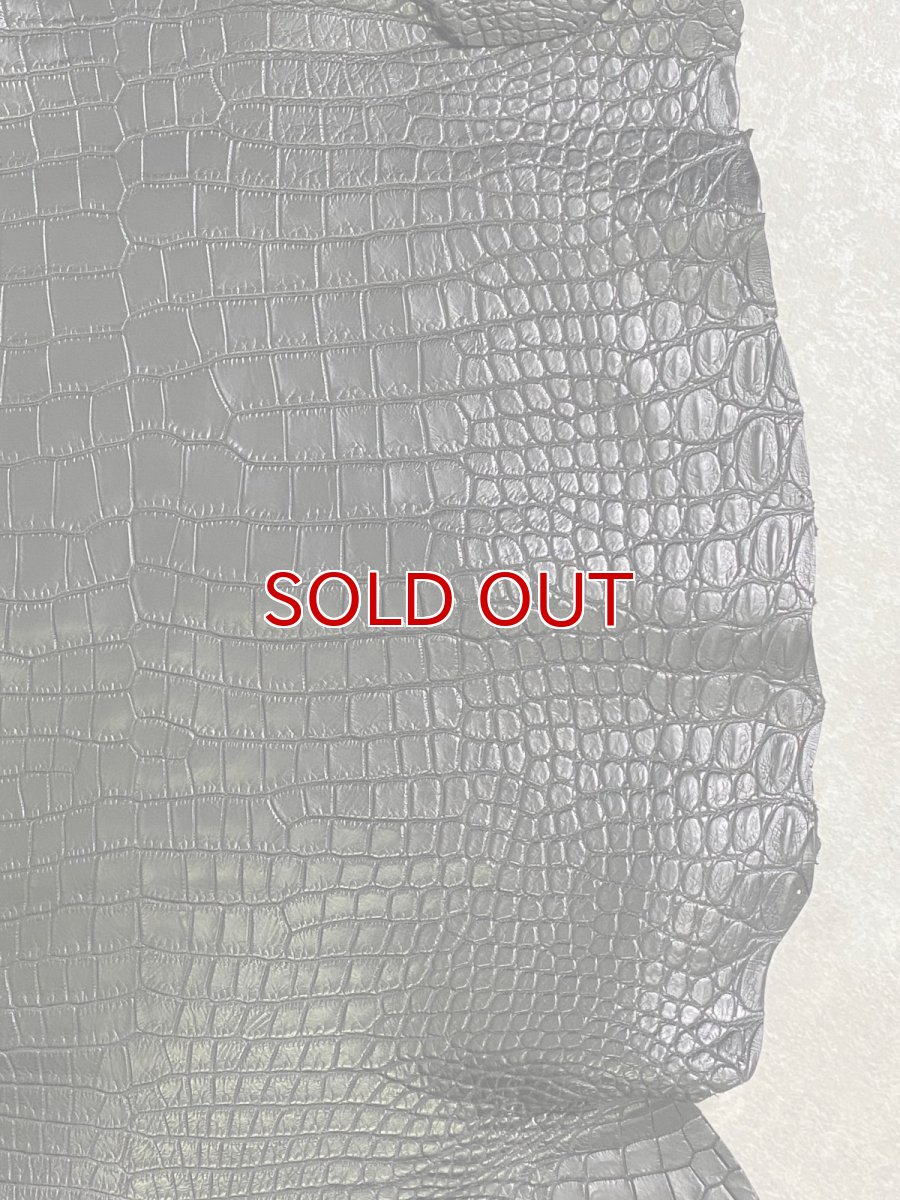 画像6: スモールクロコダイル　ブラック　36　ポロサス　ワニ革　クロコダイル革　 (6)