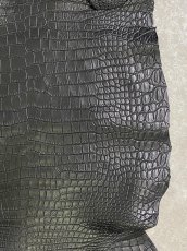 画像6: スモールクロコダイル ブラック 36 ポロサス ワニ革 クロコダイル革  (6)