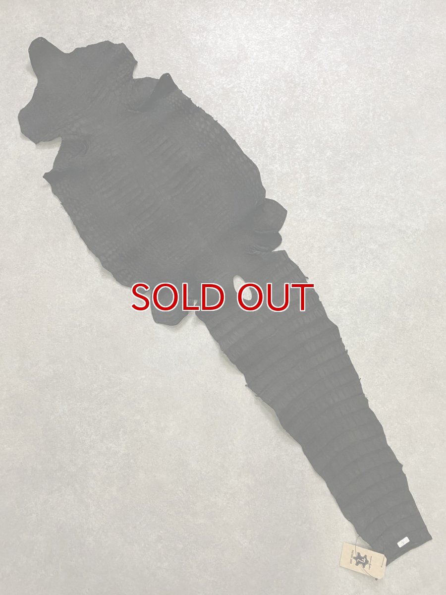 画像9: スモールクロコダイル　ブラック　36　ポロサス　ワニ革　クロコダイル革　 (9)