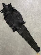 画像1: スモールクロコダイル ブラック 27 ポロサス ワニ革 クロコダイル革  (1)