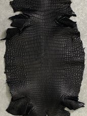 画像4: スモールクロコダイル ブラック 27 ポロサス ワニ革 クロコダイル革  (4)