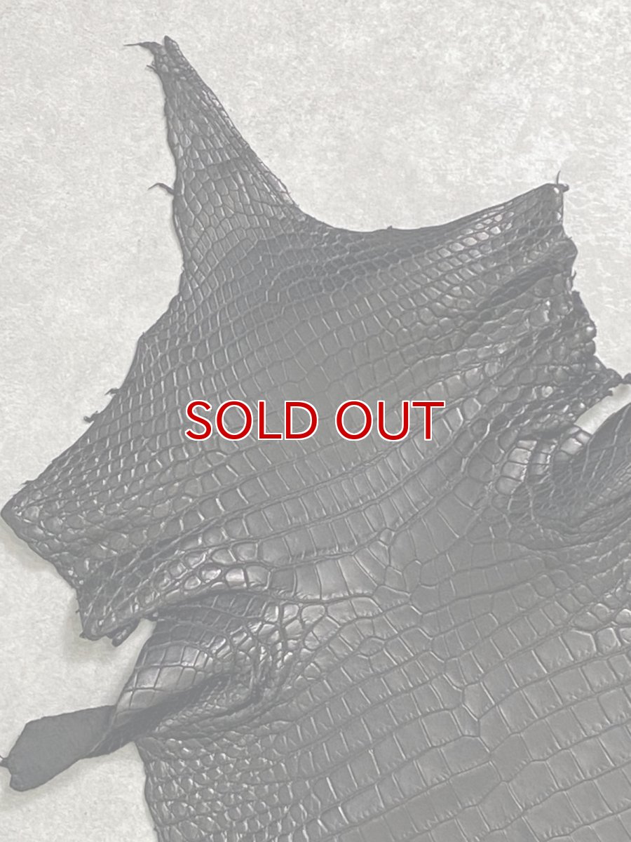 画像3: スモールクロコダイル　ブラック　28　ポロサス　ワニ革　クロコダイル革　 (3)