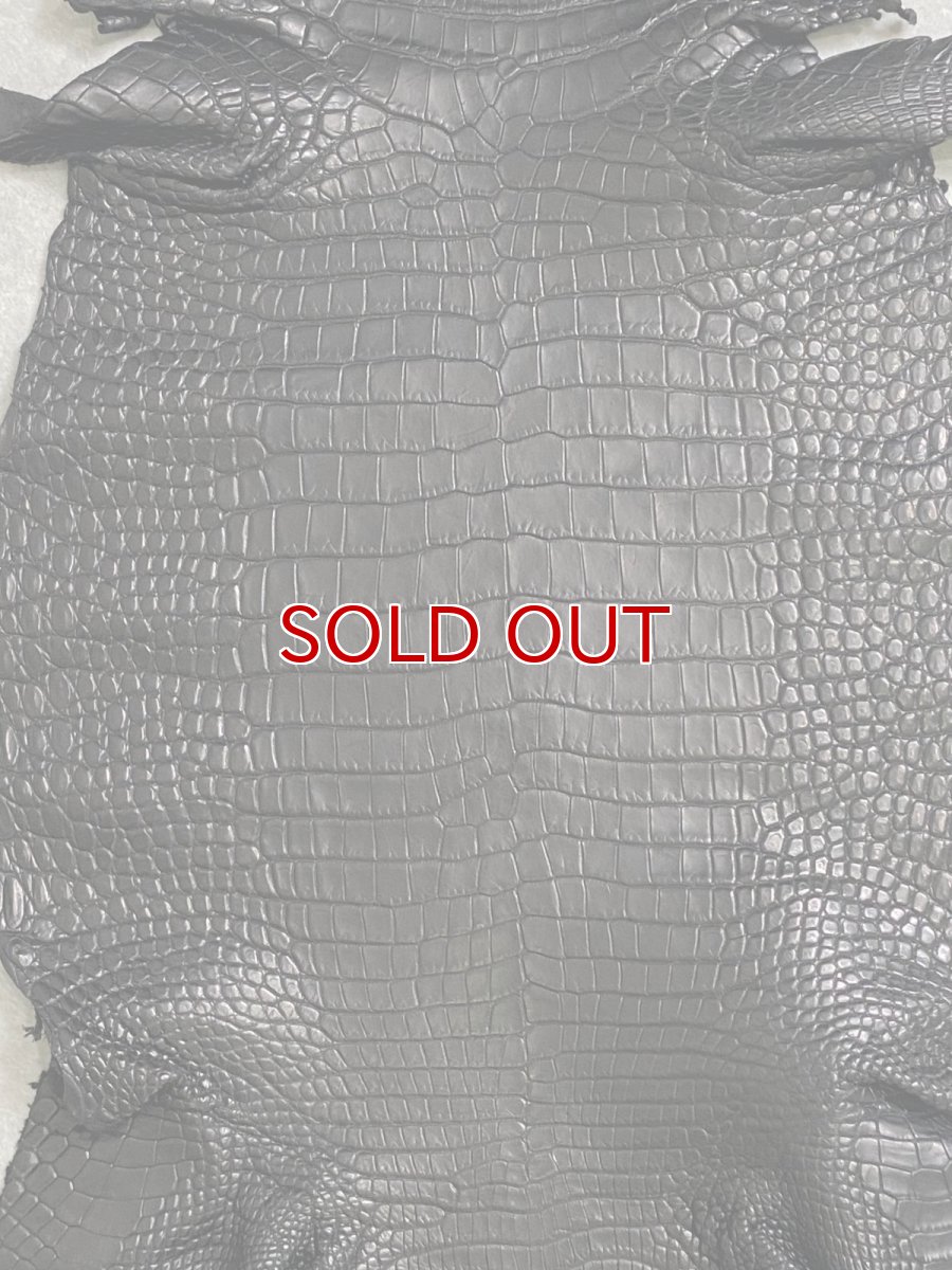 画像4: スモールクロコダイル　ブラック　28　ポロサス　ワニ革　クロコダイル革　 (4)
