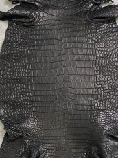 画像4: スモールクロコダイル ブラック 28 ポロサス ワニ革 クロコダイル革  (4)