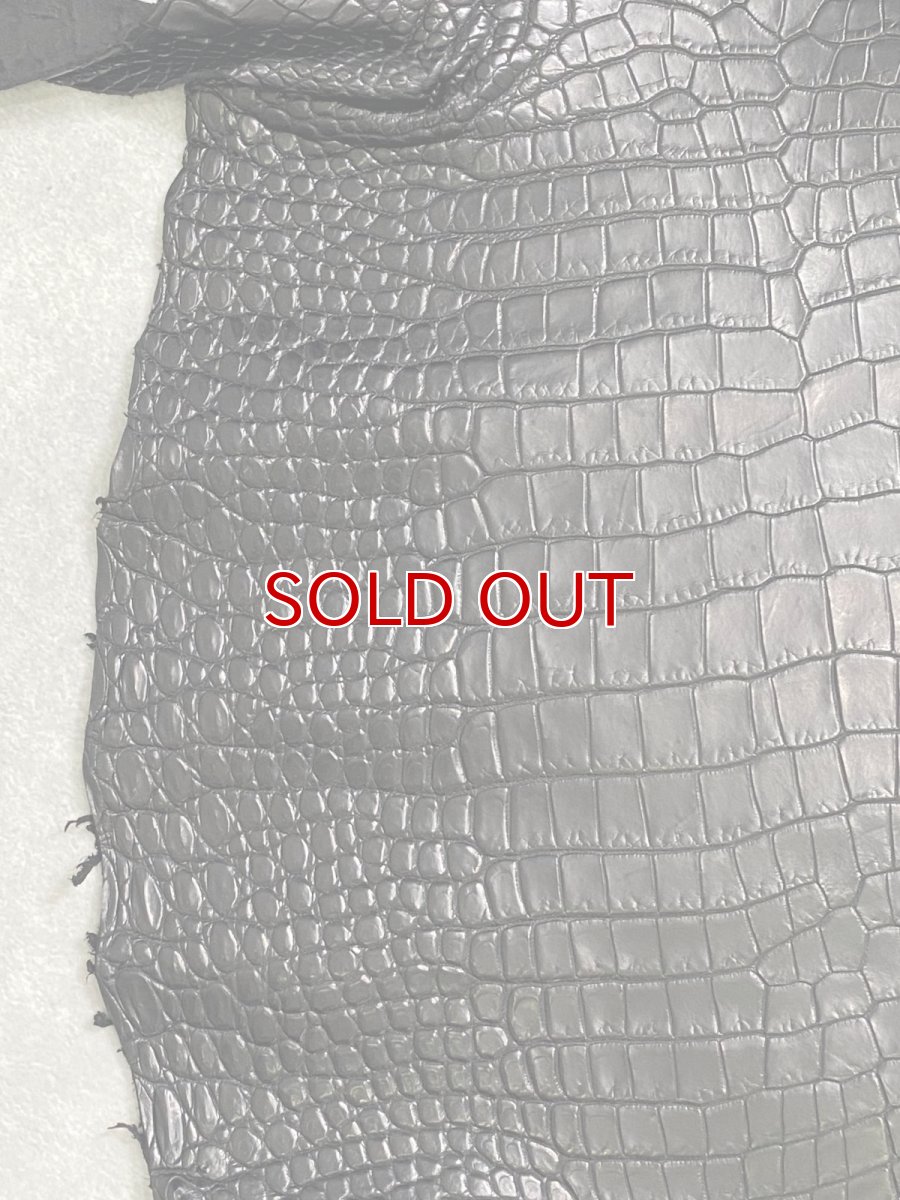 画像5: スモールクロコダイル　ブラック　28　ポロサス　ワニ革　クロコダイル革　 (5)