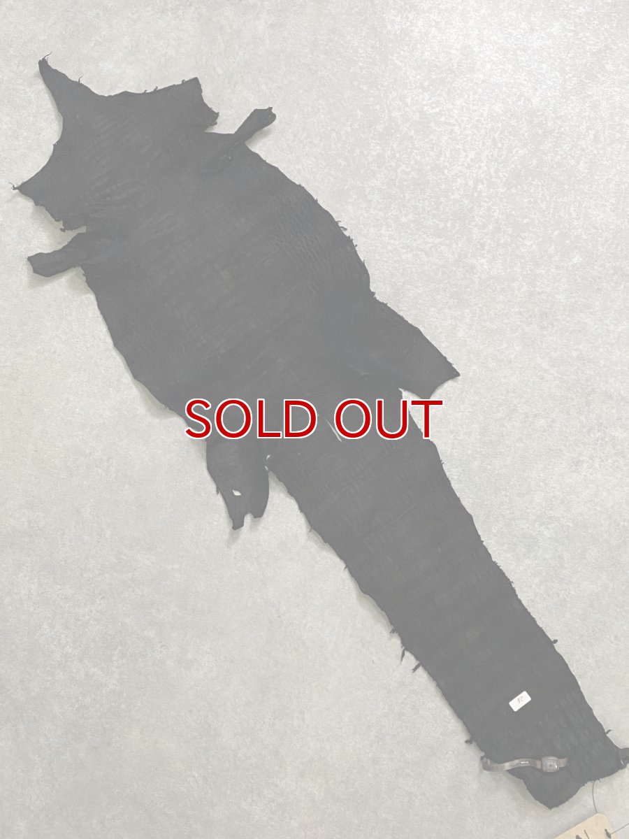 画像9: スモールクロコダイル　ブラック　28　ポロサス　ワニ革　クロコダイル革　 (9)