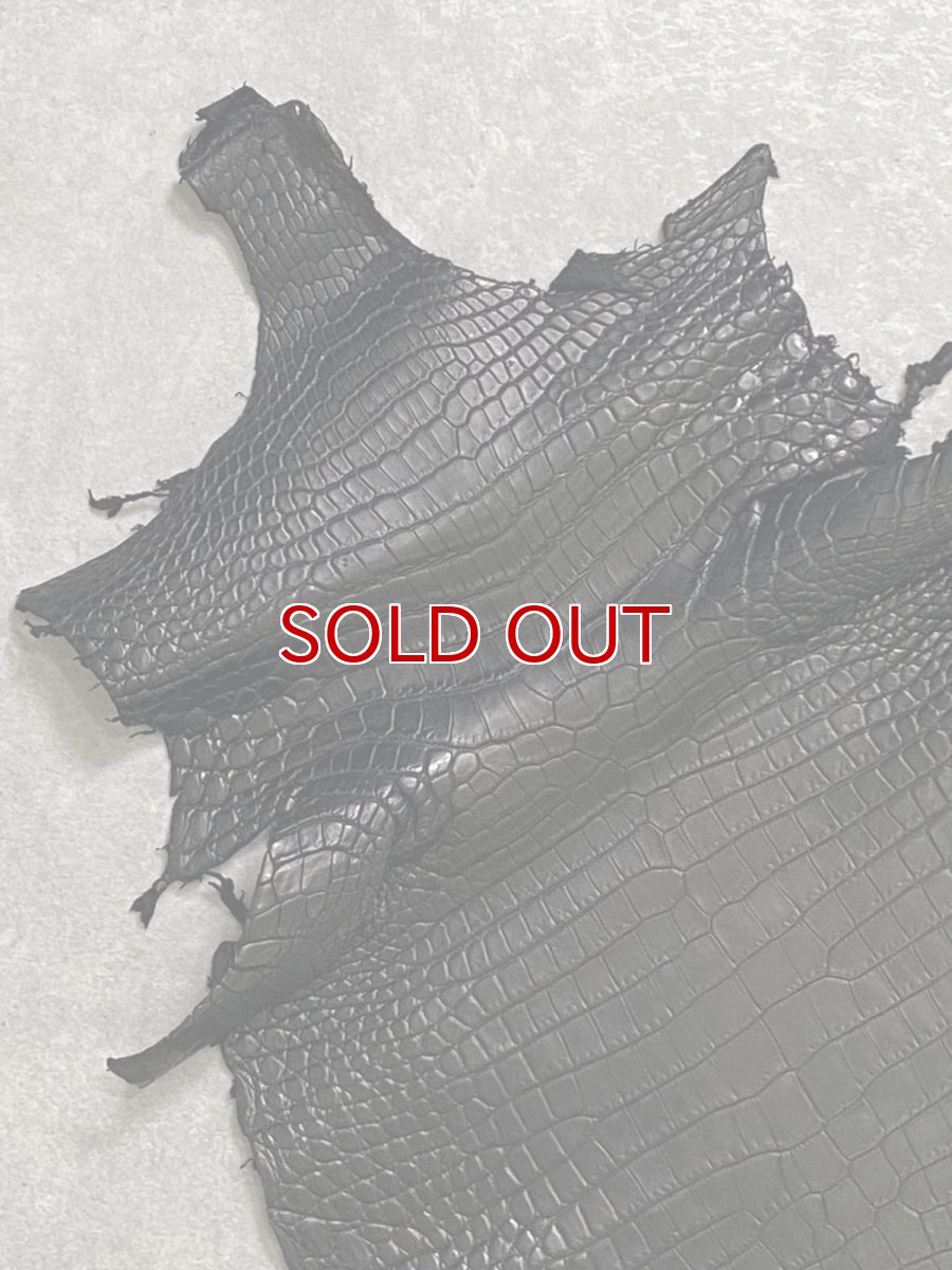 画像3: スモールクロコダイル　ブラック　28　ポロサス　ワニ革　クロコダイル革　 (3)