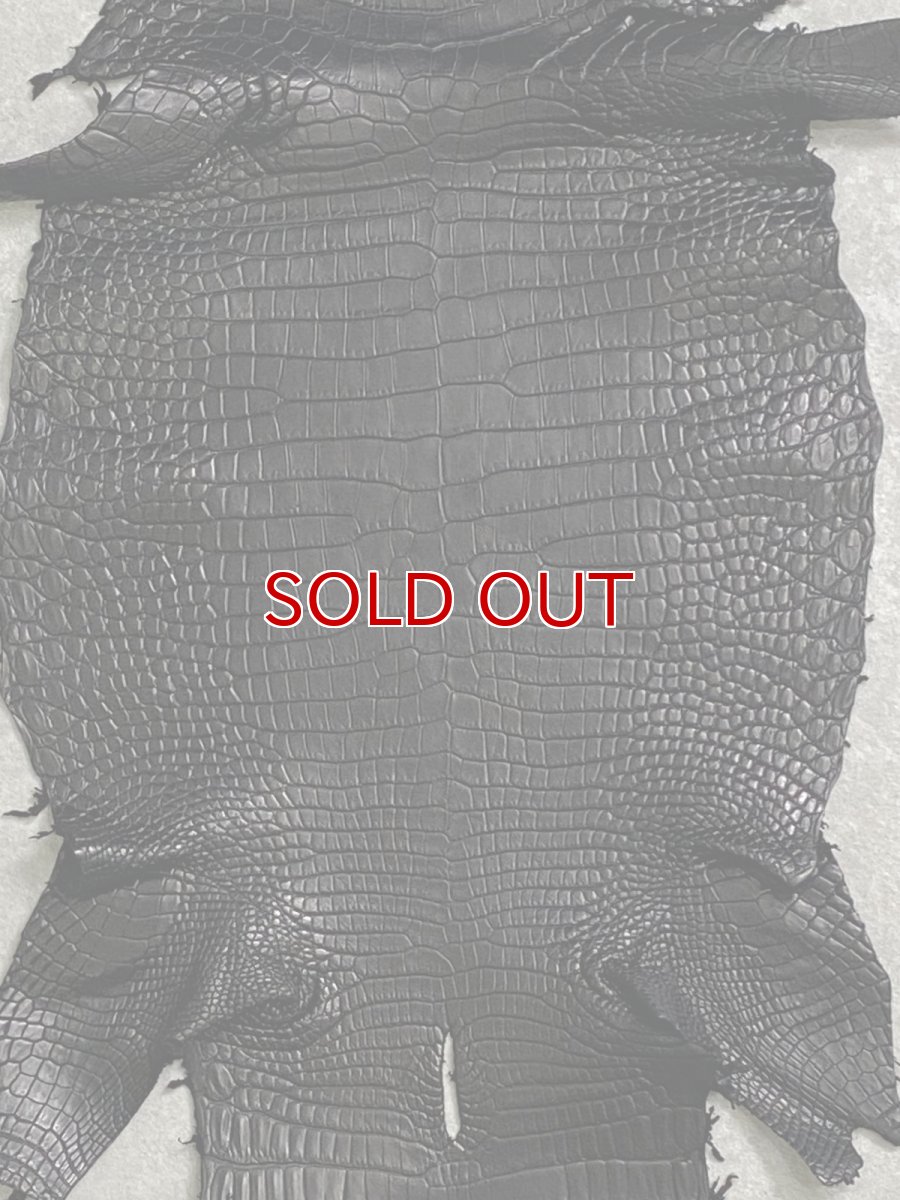 画像4: スモールクロコダイル　ブラック　28　ポロサス　ワニ革　クロコダイル革　 (4)