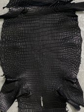 画像4: スモールクロコダイル ブラック 28 ポロサス ワニ革 クロコダイル革  (4)