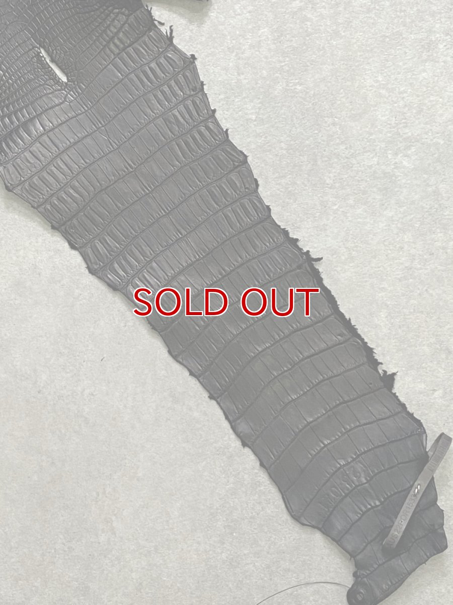 画像7: スモールクロコダイル　ブラック　28　ポロサス　ワニ革　クロコダイル革　 (7)