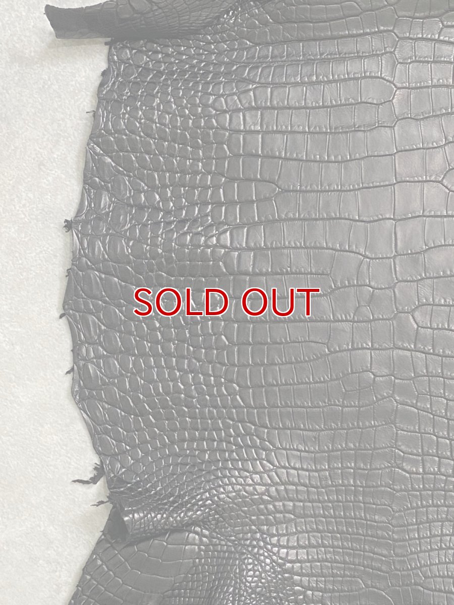 画像5: スモールクロコダイル　ブラック　28　ポロサス　ワニ革　クロコダイル革　 (5)