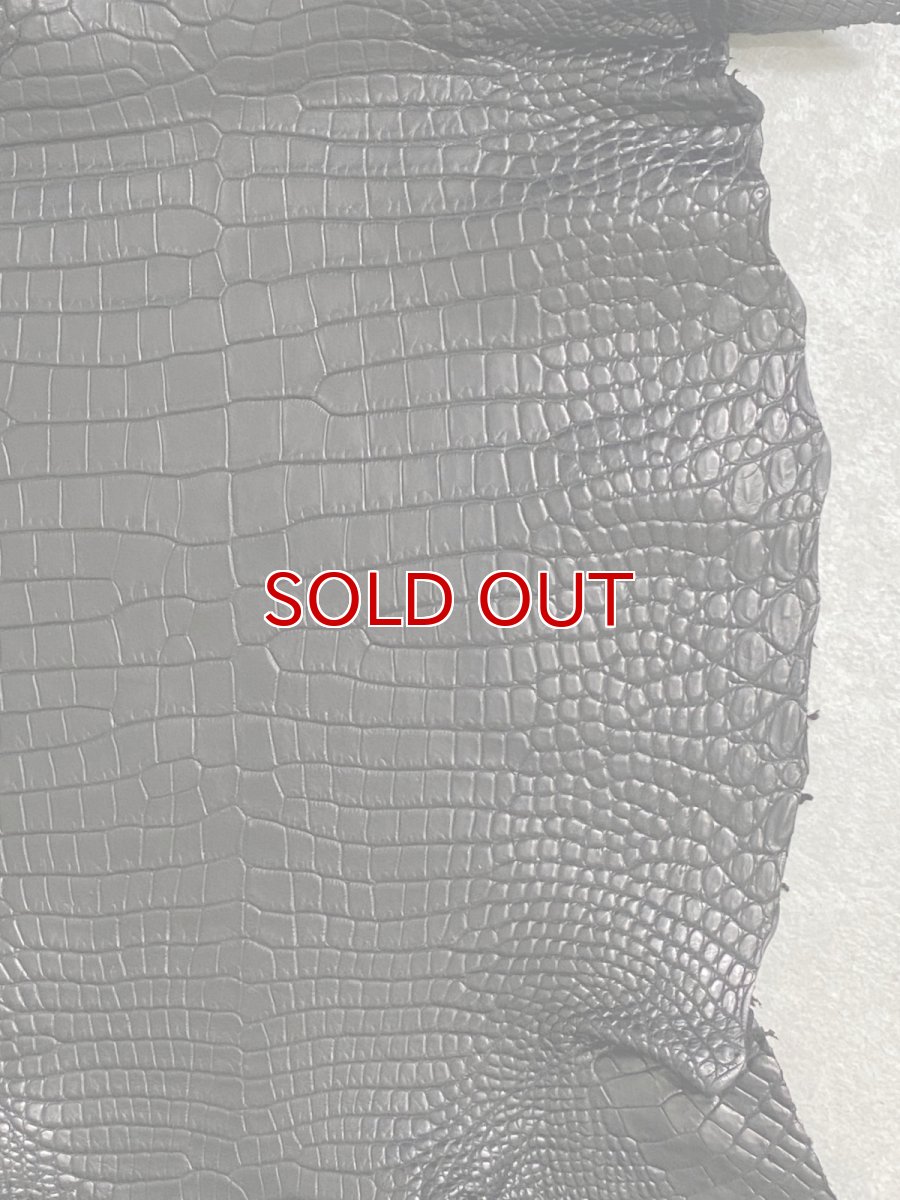 画像6: スモールクロコダイル　ブラック　28　ポロサス　ワニ革　クロコダイル革　 (6)