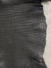 画像6: スモールクロコダイル ブラック 28 ポロサス ワニ革 クロコダイル革  (6)