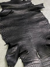 画像2: スモールクロコダイル ブラック 28 ポロサス ワニ革 クロコダイル革  (2)