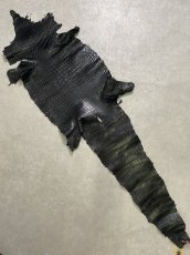 画像1: スモールクロコダイル ブラック 41 ポロサス ワニ革 クロコダイル革  (1)