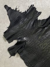 画像3: スモールクロコダイル ブラック 41 ポロサス ワニ革 クロコダイル革  (3)