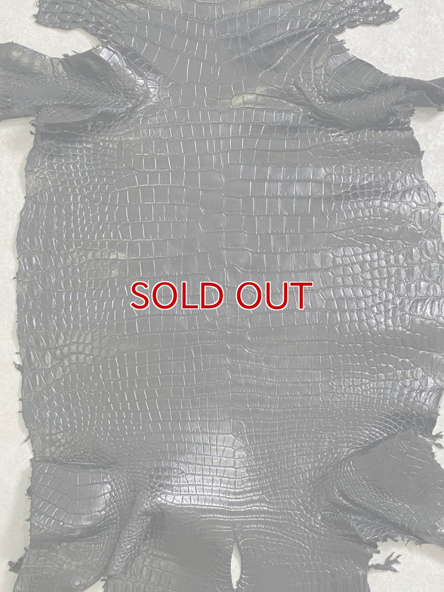 画像4: スモールクロコダイル　ブラック　41　ポロサス　ワニ革　クロコダイル革　 (4)