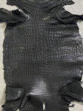 画像4: スモールクロコダイル ブラック 41 ポロサス ワニ革 クロコダイル革  (4)