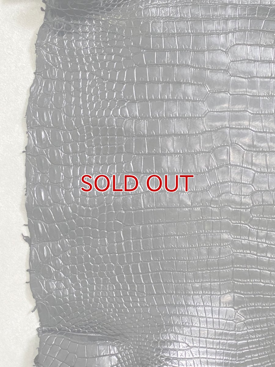 画像5: スモールクロコダイル　ブラック　41　ポロサス　ワニ革　クロコダイル革　 (5)