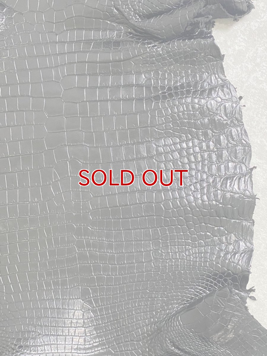 画像6: スモールクロコダイル　ブラック　41　ポロサス　ワニ革　クロコダイル革　 (6)