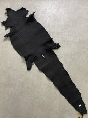 画像9: スモールクロコダイル ブラック 41 ポロサス ワニ革 クロコダイル革  (9)