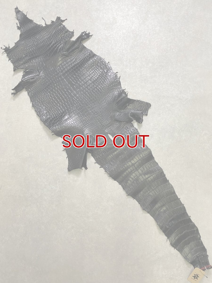 画像1: スモールクロコダイル　ブラック　40　ポロサス　ワニ革　クロコダイル革　 (1)