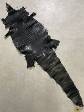 画像1: スモールクロコダイル ブラック 40 ポロサス ワニ革 クロコダイル革  (1)