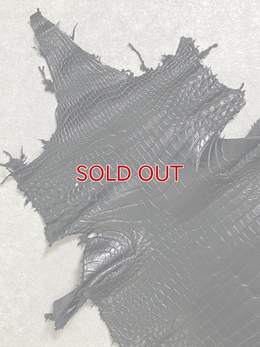 画像3: スモールクロコダイル　ブラック　40　ポロサス　ワニ革　クロコダイル革　 (3)