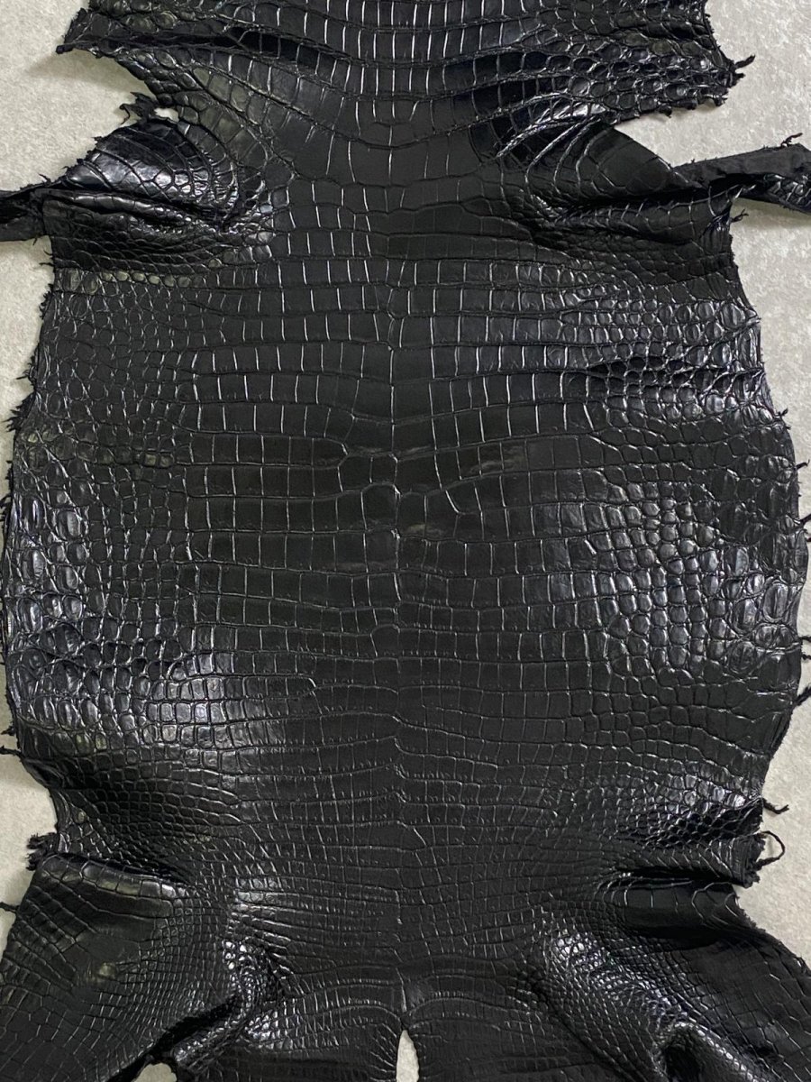 画像4: スモールクロコダイル ブラック 40 ポロサス ワニ革 クロコダイル革  (4)