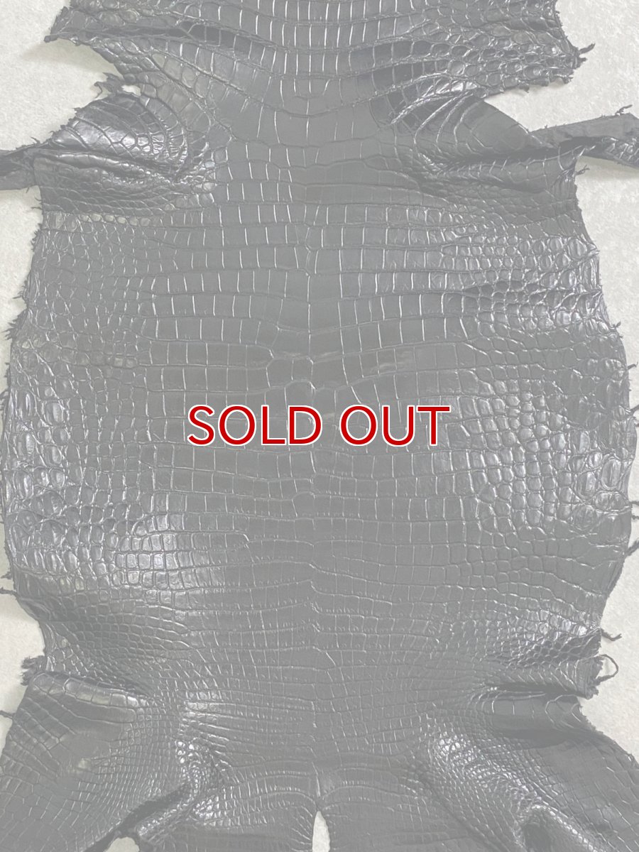 画像4: スモールクロコダイル　ブラック　40　ポロサス　ワニ革　クロコダイル革　 (4)
